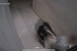 Thế giới - Bị gí súng vào người, chủ nhà hành động nhanh không kịp nghĩ khiến kẻ trộm hoảng sợ