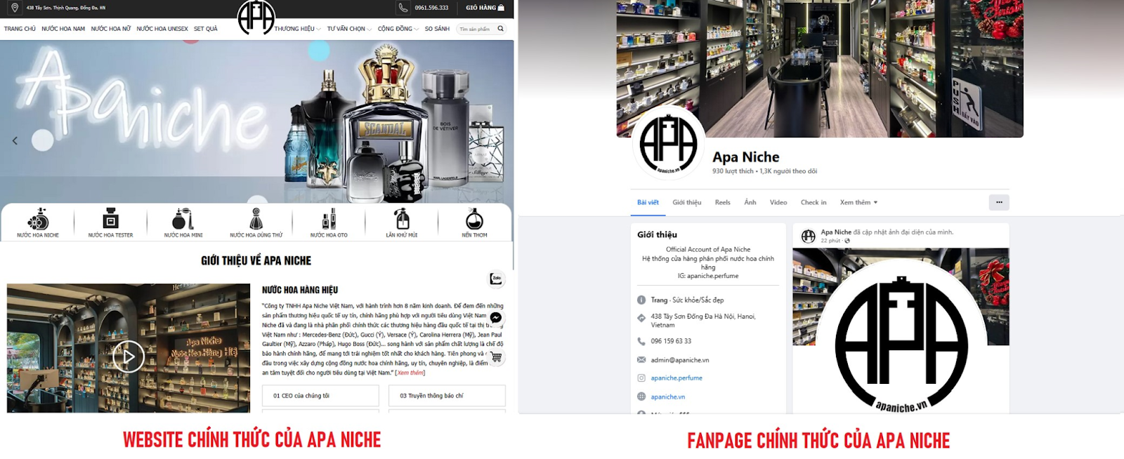 Website và Fanpage chính thức của Apa Niche