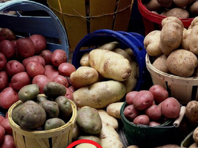 Ẩm thực - Vùi củ khoai tây xuống cát: Cả tháng không lo điều này, bỏ túi ngay để áp dụng