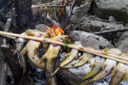 2 loại cá đặc sản ở Việt Nam có vị đắng, ăn một lần nhớ mãi, nhà giàu “săn lùng“ để thưởng thức