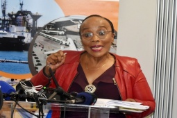 Thế giới - Nữ Bộ trưởng Nam Phi bị gí súng vào đầu trong vụ cướp "chưa từng có"