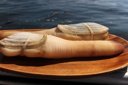 Thị trường - Tiêu dùng - Loại ốc khổng lồ được ví như thần dược cho phái mạnh, vài triệu/kg lùng vẫn khó mua