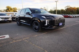 Tin tức ô tô - Ảnh thực tế Hyundai Palisade phiên bản "Bóng đêm"