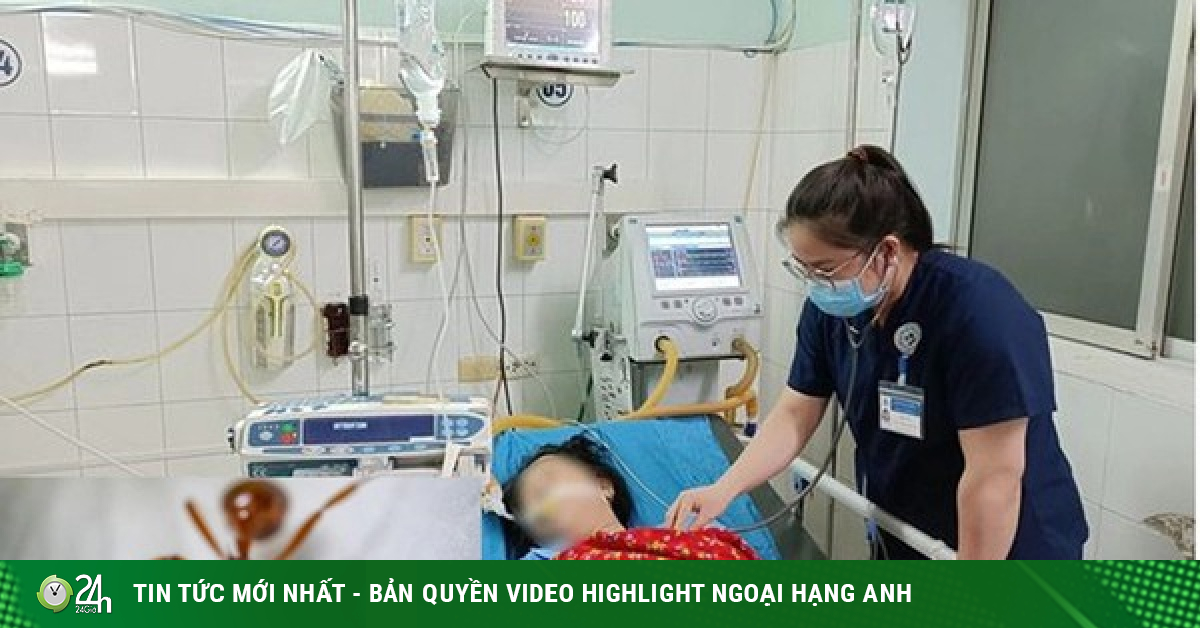Người phụ nữ trụy tim mạch sau khi bị kiến đốt