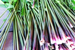 Thị trường - Tiêu dùng - Thứ ai cũng vứt đi, tưởng không ăn được, ngờ đâu là đặc sản lạ được "săn lùng"