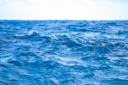 Media - Vì sao biển có màu xanh?