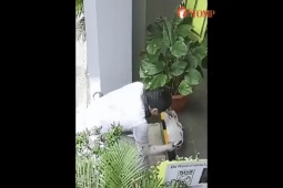 Phi thường - kỳ quặc - Thấy vết "lạ" ngoài hành lang, người phụ nữ xem camera phát hiện hành vi đáng sợ của nam shipper