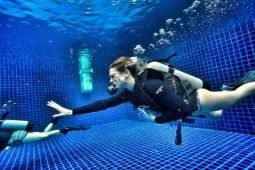 Media - Nước có oxy, vì sao con người không thể thở được dưới nước như cá?