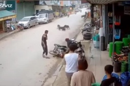 Tin tức trong ngày - Clip: Phóng xe máy như bay tông trúng con chó, tài xế gặp họa