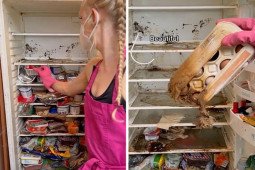 Cô gái gây sốc khi dọn chiếc tủ lạnh 3 năm không mở