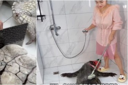 Bạn trẻ - Cuộc sống - Nữ vlogger ẩm thực khiến dân mạng phẫn nộ khi hướng dẫn xẻ thịt cá sấu nặng 90kg tại nhà