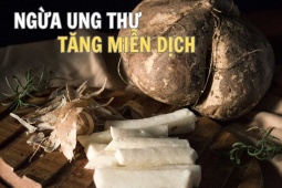 Sức khỏe đời sống - Loại củ nhiều người chê nhạt thếch nhưng ngừa ung thư, tăng miễn dịch