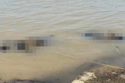 Phát hiện 2 thi thể đàn ông trôi dạt trên sông Lam