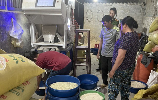 Khi lực lượng chức năng kiểm tra đột xuất thì phát hiện quy trình tạo ra gạo Séng cù xanh giả bằng cách nghiền lá dứa để nhuộm xanh gạo Séng cù.