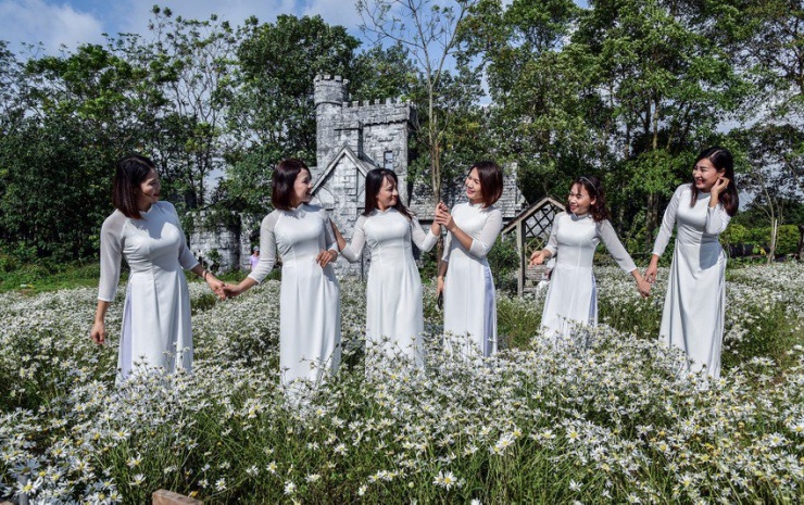 Sau nhiều ngày chờ đợi, loài hoa báo hiệu mùa đông đã bung nở, các cô gái Hà Nội tìm đến các vườn cúc họa mi để ghi lại hình ảnh đẹp bên loài hoa trắng tinh khôi.