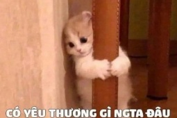 Truyện cười: Những người đang yêu chẳng mấy ai bình thường