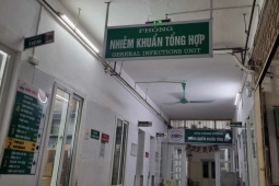 Sức khỏe đời sống - Đã có 35 ca tử vong do sốt xuất huyết, 2 biến chứng nặng nhất của sốt xuất huyết là gì?