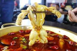 Ẩm thực - Loài này gần giống ếch nhưng cực nguy hiểm nếu ăn, cẩn thận kẻo mua nhầm