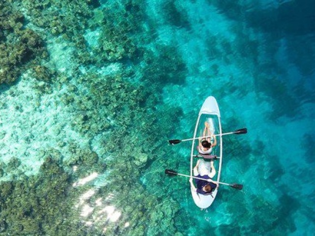 Du lịch - Ngắm rạn san hô lớn nhất thế giới vào mùa sinh sản