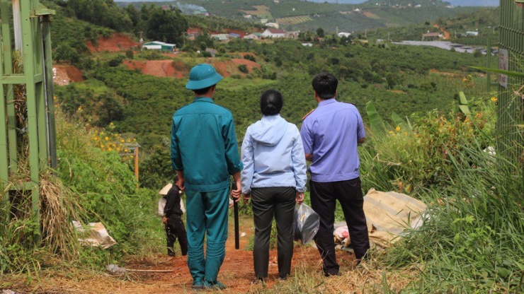 Cơ quan chức năng cưỡng chế, giao vườn cà phê cho vợ Hoàn Xuyến thu hoạch. Ảnh: VT