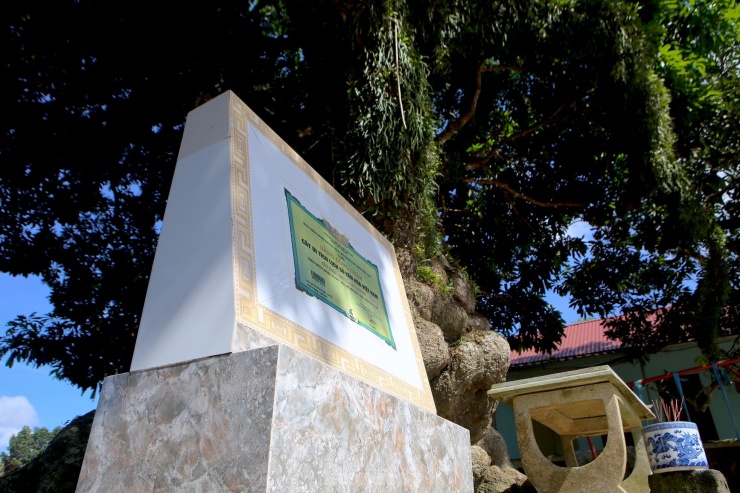 Năm 2015, người dân vui mừng khi đón Bằng công nhận Cây di tích lịch sử văn hóa Việt Nam cho cây trôi trên 400 năm tuổi này. Sau đó người dân góp tiền xây bia tượng trưng tại gốc cây trôi.