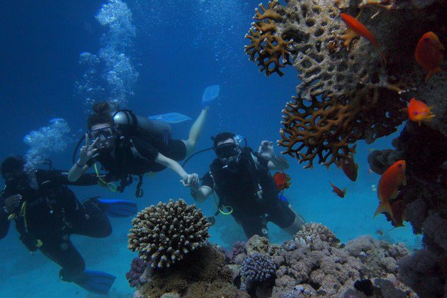 Great Barrier Reef thu hút khách du lịch bởi các hoạt động đại dương thú vị.