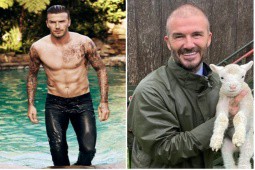 Beckham để lộ đầu hói nặng khó chữa làm nhiều người giật mình