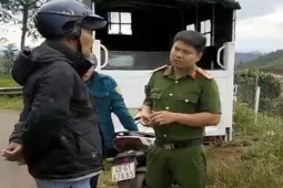 Pháp luật - Giao vườn cà phê đang tranh chấp cho vợ Hoàn Xuyến thu hoạch