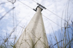 Tin tức trong ngày - Chiêm ngưỡng cáp treo vượt biển có trụ cao nhất thế giới nối ra đảo ngọc miền Bắc