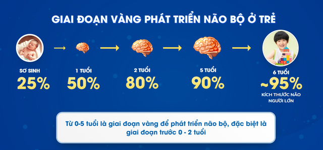 "Cánh cửa cơ hội" cho sự phát triển toàn diện não bộ ở trẻ, cha mẹ đừng bỏ lỡ - 1