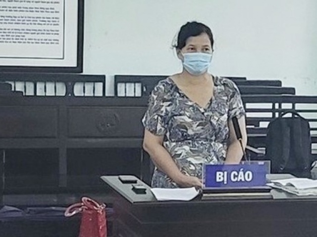 Pháp luật - Tổng Giám đốc 2 công ty cấu kết, lập khống hồ sơ chiếm đoạt hàng chục tỷ đồng của ngân hàng