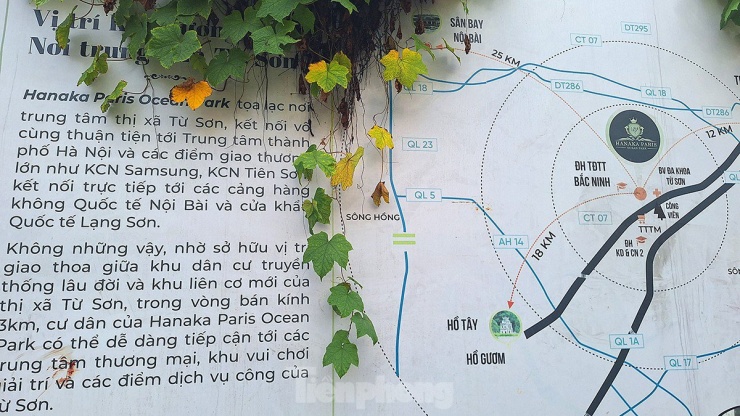 Theo giới thiệu của chủ đầu tư tại trang hanaka.com.vn, sau khi hoàn thiện, đây sẽ là trụ sở của các tập đoàn, siêu thị, văn phòng, khách sạn, showroom, căn hộ cao cấp, nhà hàng 400 chỗ với 2 sân tennis ngoài trời, 1 sân tennis trong nhà, khán đài 300 chỗ ngồi, 2 tòa căn hộ cao cấp để bán và văn phòng cho thuê...