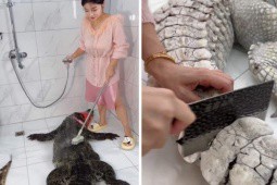 Cô gái gây phẫn nộ khi mua nguyên con cá sấu về xẻ thịt nấu ăn