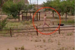 Phi thường - kỳ quặc - Sự thật đằng sau việc xuất hiện sinh vật “trần trụi” kỳ quái