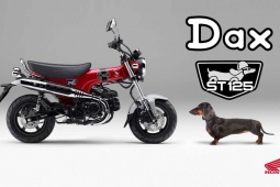 Thế giới xe - Chó lạp xưởng Honda DAX 2024 trình làng, vẫn cực hấp dẫn