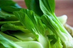 Ẩm thực - Những người đại kỵ với rau cải, cố tình ăn như 'đưa thuốc độc vào người'