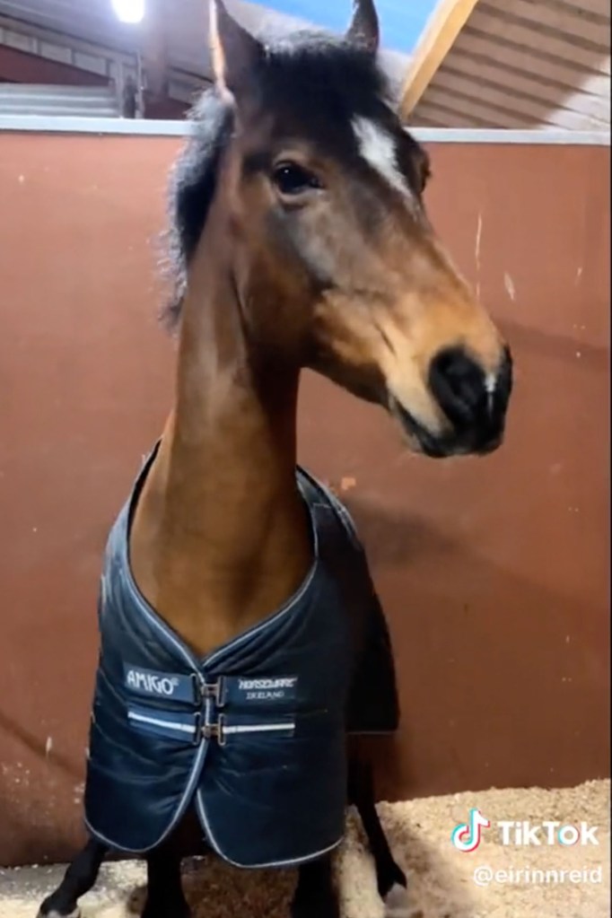 Reid lần đầu tiên có Twinkle bảy năm trước.