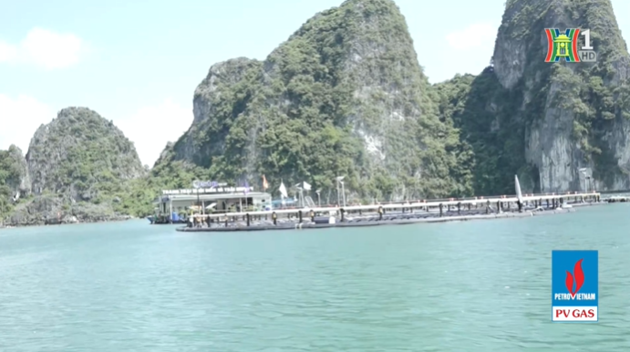 Thúc đẩy chiến lược tăng trưởng xanh cùng chương trình Ứng phó với Biến đổi khí hậu - 2