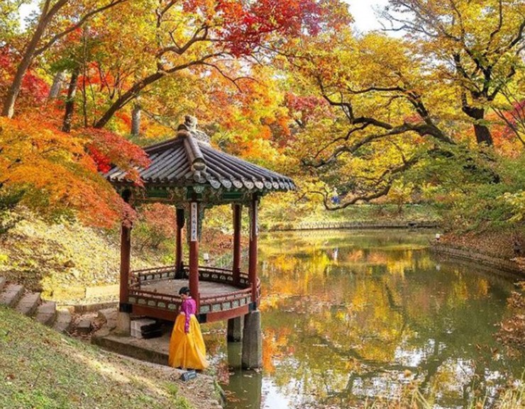 Cung điện & khu vườn Changdeokgung được UNESCO công nhận là Di sản Thế giới vào năm 1997 và là một trong những di tích được bảo tồn tốt nhất từ triều đại Joseon. Chiêm ngưỡng khu vườn tuyệt đẹp được tô điểm những tán lá cây mùa thu màu đỏ và vàng đó thực sự là một trải nghiệm tuyệt vời. 

