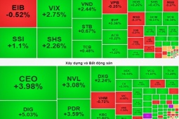 Kinh doanh - Thạc sĩ 41 tuổi sở hữu tài sản hơn 1.600 tỷ đồng