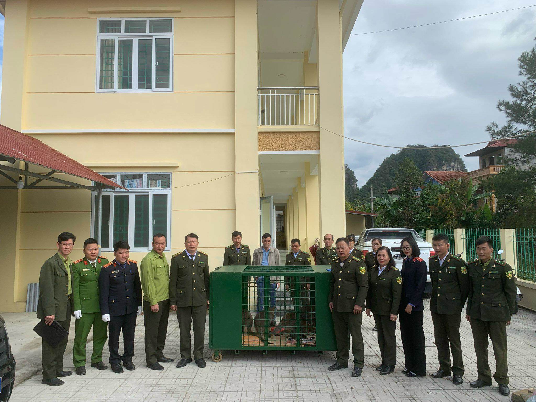 Cơ quan chức năng tỉnh Cao Bằng bàn giao 4 cá thể chuột túi cho Trung tâm cứu hộ, bảo tồn và phát triển sinh vật Hoàng Liên.