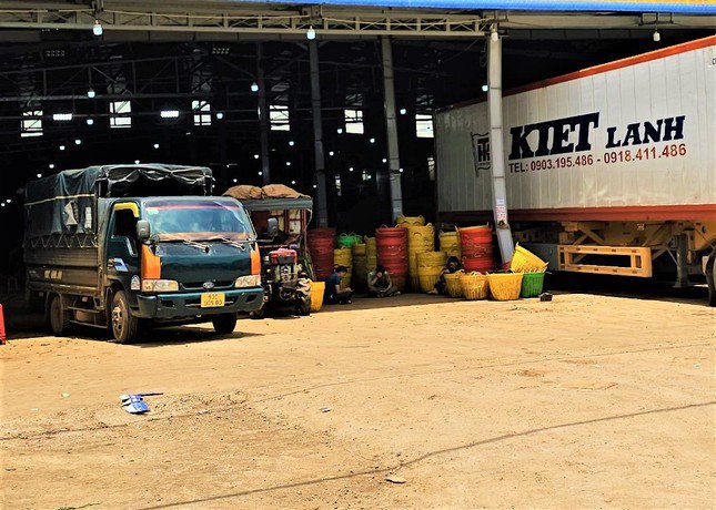 Một kho bãi sầu riêng tại huyện Krông Pắc.