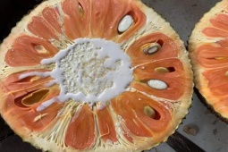 Thị trường - Tiêu dùng - Giá mít ruột đỏ “tụt dốc không phanh", sau 10 ngày giảm còn một nửa