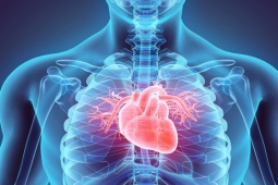 Sức khỏe đời sống - Một người đàn ông 59 tuổi chết vì đau tim vào sáng sớm, bác sĩ khuyên bớt 3 việc trước khi đi ngủ