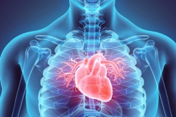 Sức khỏe đời sống - Một người đàn ông 59 tuổi chết vì đau tim vào sáng sớm, bác sĩ khuyên bớt 3 việc trước khi đi ngủ