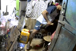 Thế giới - Thấy trăn gần 5m mò vào chuồng bắt mèo, chủ nhà liều mình giải cứu