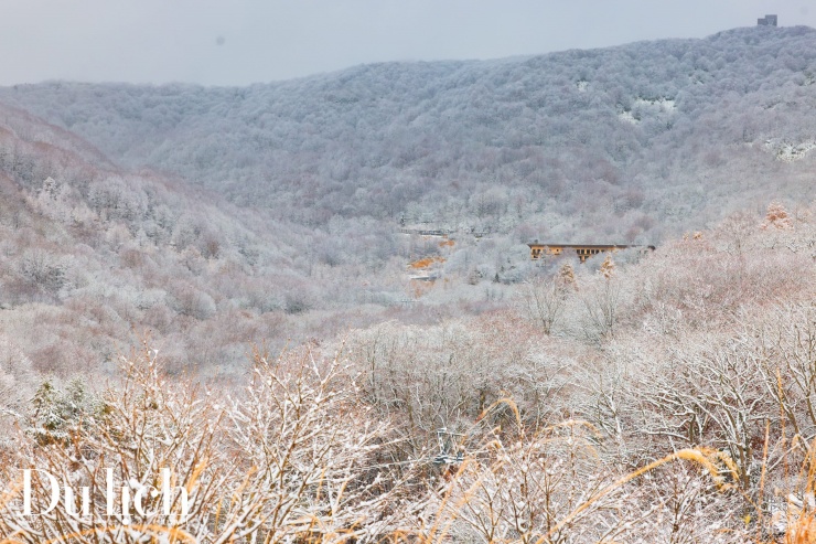 Fukushima đẹp tinh khôi trong ngày chớm đông sang - 5