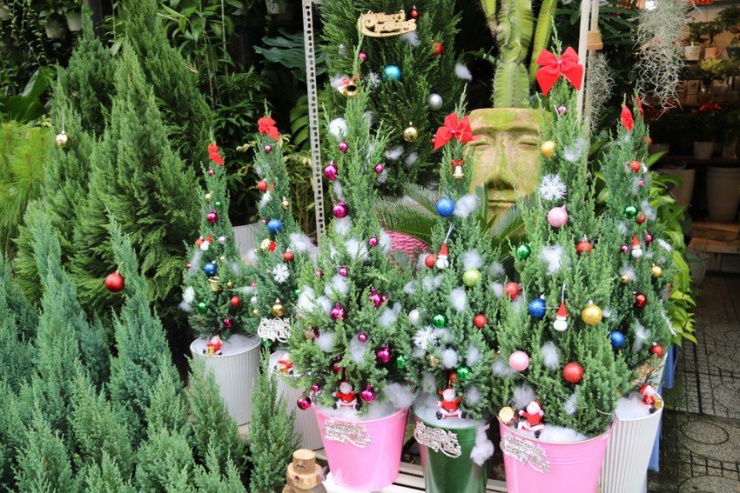 Thông tươi được trang trí bắt mắt, thu hút khách hàng.