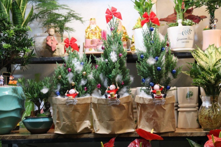 Nhiều cửa hàng "biến tấu" thông tươi thành nhiều hình dáng bắt mắt.