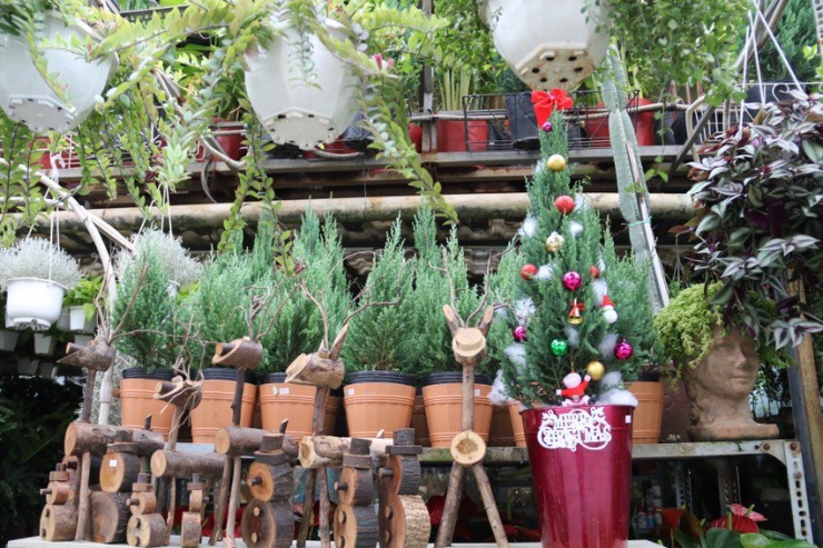 Mặc dù giá thông tươi khá cao, nhưng người mua cảm thấy xứng đáng.